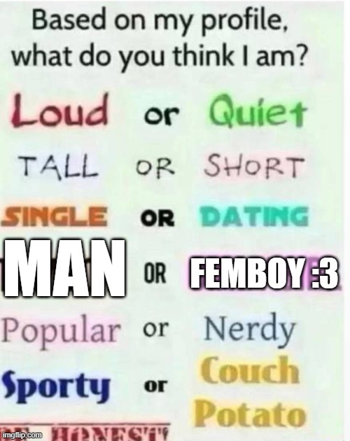 based on my profile what do you think I am? | MAN; FEMBOY :3 | image tagged in based on my profile what do you think i am | made w/ Imgflip meme maker