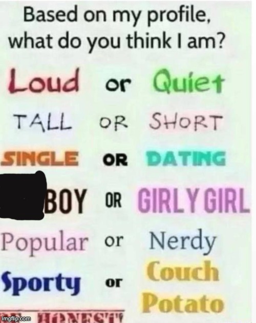 based on my profile what do you think I am? | image tagged in based on my profile what do you think i am | made w/ Imgflip meme maker