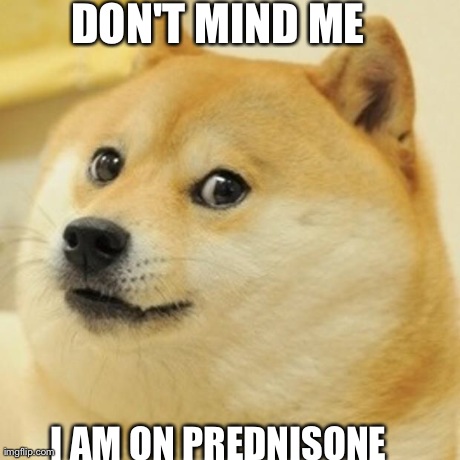 Doge | DON'T MIND ME  I AM ON PREDNISONE | image tagged in memes,doge | made w/ Imgflip meme maker
