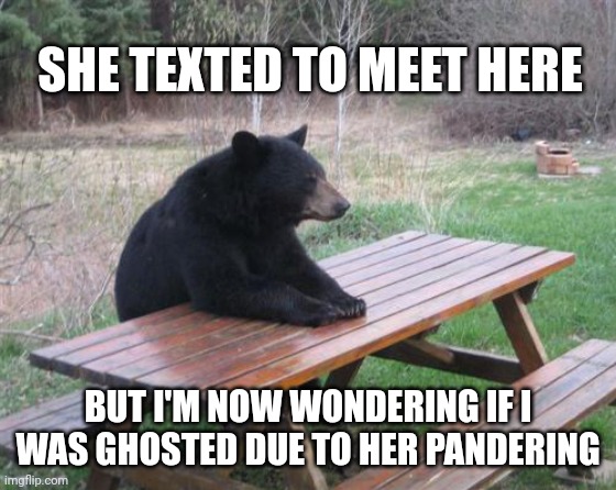 Bad Luck Bear Meme | SHE TEXTED TO MEET HERE BUT I'M NOW WONDERING IF I WAS GHOSTED DUE TO HER PANDERING | image tagged in memes,bad luck bear | made w/ Imgflip meme maker