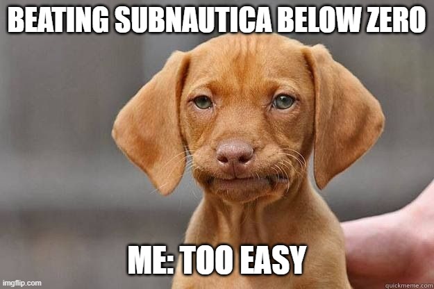 Disapointed Dog | BEATING SUBNAUTICA BELOW ZERO; ME: TOO EASY | image tagged in disapointed dog | made w/ Imgflip meme maker