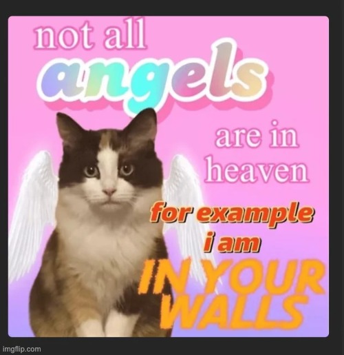 ! | made w/ Imgflip meme maker