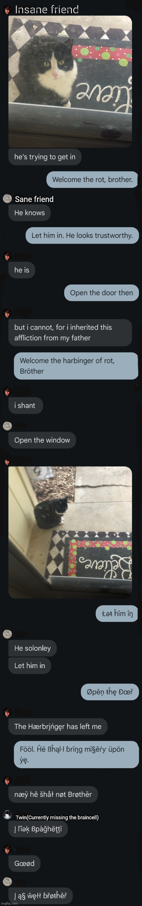 The gc right now (For context, he's allergic to cats.) | Insane friend; Sane friend; Twin(Currently missing the braincell) | made w/ Imgflip meme maker