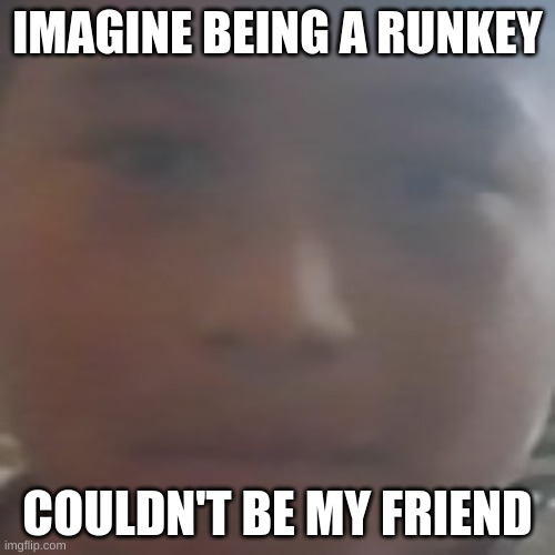 angel smiling | IMAGINE BEING A RUNKEY; COULDN'T BE MY FRIEND | image tagged in angel smiling | made w/ Imgflip meme maker