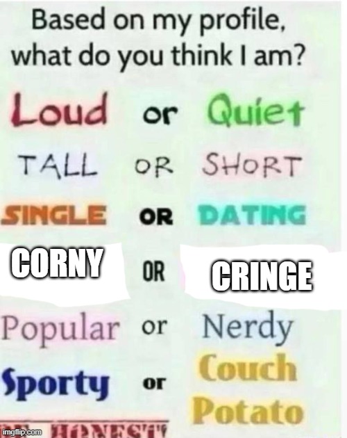 based on my profile what do you think I am? | CRINGE; CORNY | image tagged in based on my profile what do you think i am | made w/ Imgflip meme maker