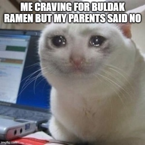 Me right now until the one I craved came | ME CRAVING FOR BULDAK RAMEN BUT MY PARENTS SAID NO | image tagged in crying cat | made w/ Imgflip meme maker