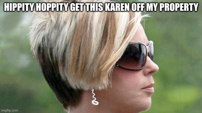 Hippity Hoppity | HIPPITY HOPPITY GET THIS KAREN OFF MY PROPERTY | image tagged in karen,funny memes,heres johnny | made w/ Imgflip meme maker