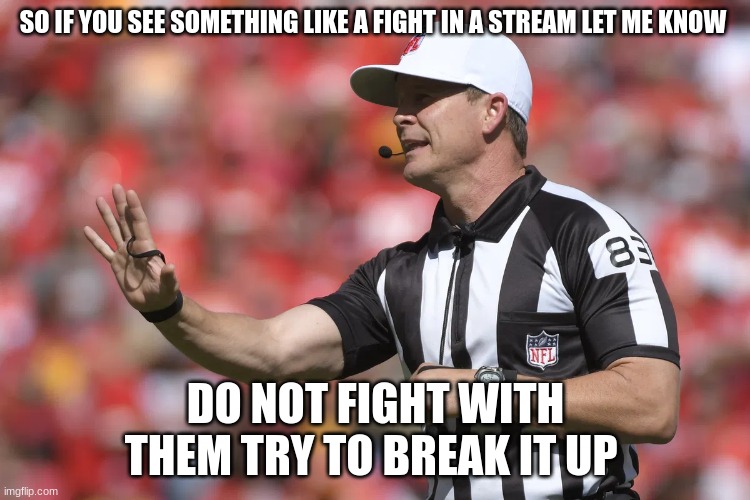 nfl referee | SO IF YOU SEE SOMETHING LIKE A FIGHT IN A STREAM LET ME KNOW; DO NOT FIGHT WITH THEM TRY TO BREAK IT UP | image tagged in nfl referee | made w/ Imgflip meme maker