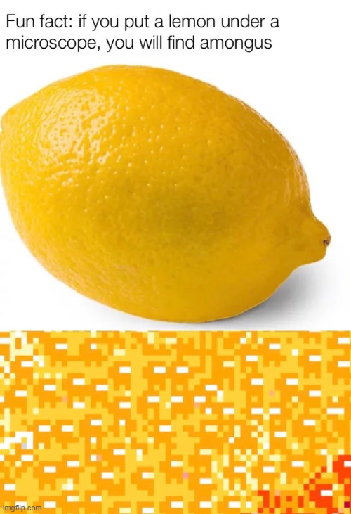 Lemong us | image tagged in among us | made w/ Imgflip meme maker