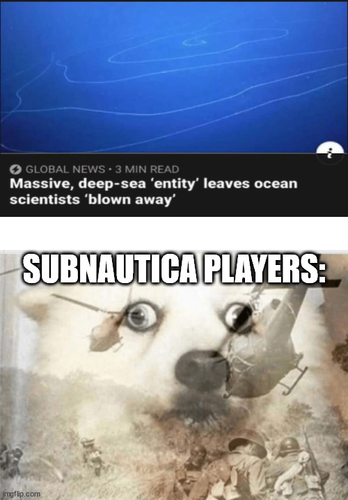 big boi | SUBNAUTICA PLAYERS: | image tagged in ptsd dog,subnautica | made w/ Imgflip meme maker