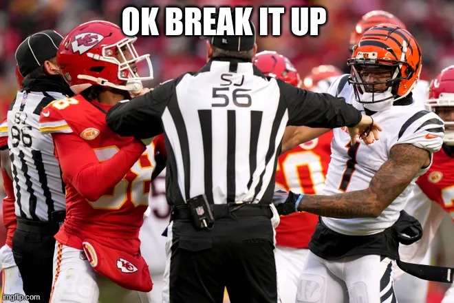 ref | OK BREAK IT UP | image tagged in ref | made w/ Imgflip meme maker