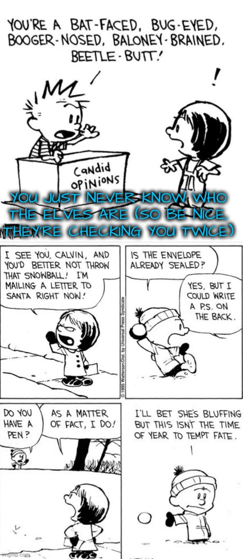 There Are Secret Elves Everywhere | YOU JUST NEVER KNOW WHO THE ELVES ARE (SO BE NICE, THEY'RE CHECKING YOU TWICE) | image tagged in elves,calvin and hobbes,christmas | made w/ Imgflip meme maker