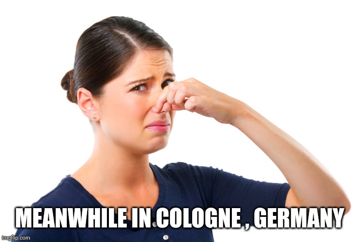 woman holding her nose | MEANWHILE IN COLOGNE , GERMANY | image tagged in woman holding her nose | made w/ Imgflip meme maker