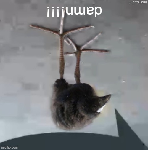 Wah wah wah wah wah wah wah wah | ¡¡¡¡uɯɐp | image tagged in wah wah wah wah wah wah wah wah | made w/ Imgflip meme maker