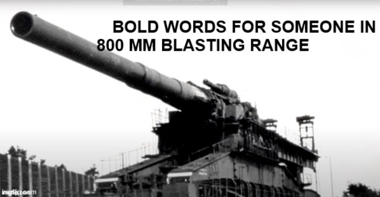 BOLD WORDS FOR SOMEONE IN 800mm BLASTING RANGE | image tagged in bold words for someone in 800mm blasting range | made w/ Imgflip meme maker