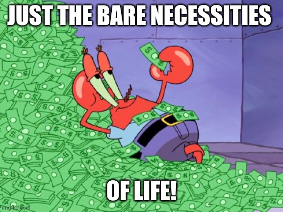 Mr Krabs money | JUST THE BARE NECESSITIES; OF LIFE! | image tagged in mr krabs money | made w/ Imgflip meme maker