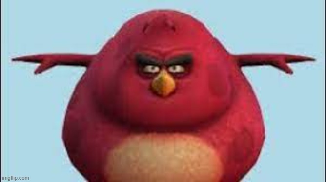 repost if agree | image tagged in i m da biggest bird | made w/ Imgflip meme maker