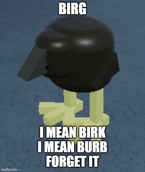 Roblox Pukeko | BIRG; I MEAN BIRK
I MEAN BURB
FORGET IT | image tagged in roblox pukeko | made w/ Imgflip meme maker