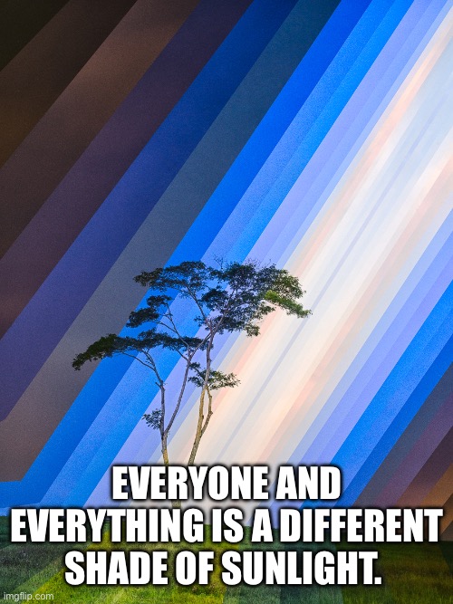 Shades of sunlight | EVERYONE AND EVERYTHING IS A DIFFERENT SHADE OF SUNLIGHT. | image tagged in celebration | made w/ Imgflip meme maker