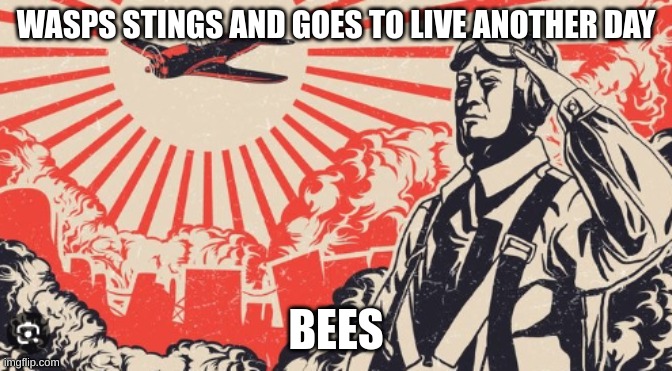 fr fr fr fr | WASPS STINGS AND GOES TO LIVE ANOTHER DAY; BEES | image tagged in kamikaze | made w/ Imgflip meme maker