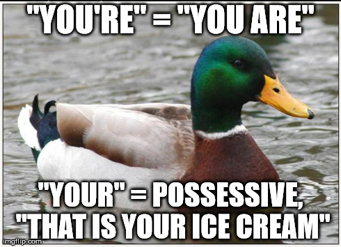 Actual Advice Mallard | "YOU'RE" = "YOU ARE" "YOUR" = POSSESSIVE, "THAT IS YOUR ICE CREAM" | image tagged in memes,actual advice mallard,AdviceAnimals | made w/ Imgflip meme maker