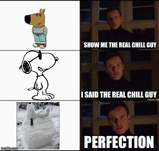 Chill Guy | SHOW ME THE REAL CHILL GUY; I SAID THE REAL CHILL GUY; PERFECTION | image tagged in show me the real,chill guy,snoopy,frozen,snow | made w/ Imgflip meme maker