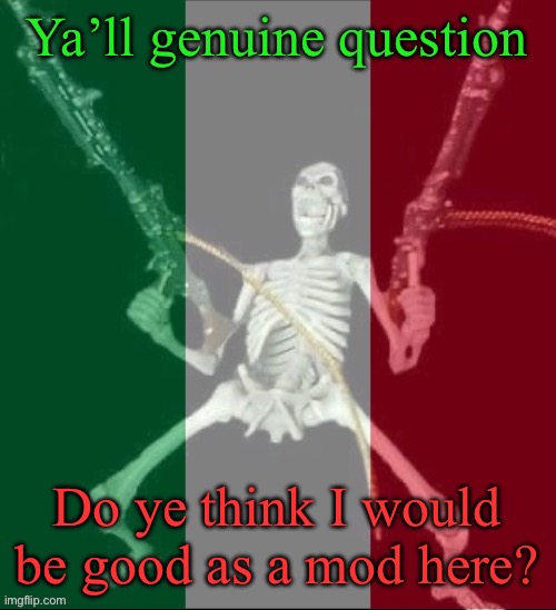 Would I? | Ya’ll genuine question; Do ye think I would be good as a mod here? | image tagged in italy forever,msmg | made w/ Imgflip meme maker