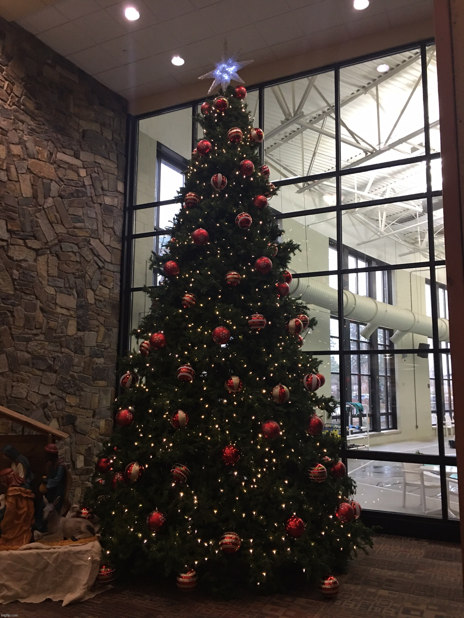 Christmas tree at my gym | image tagged in photography | made w/ Imgflip meme maker