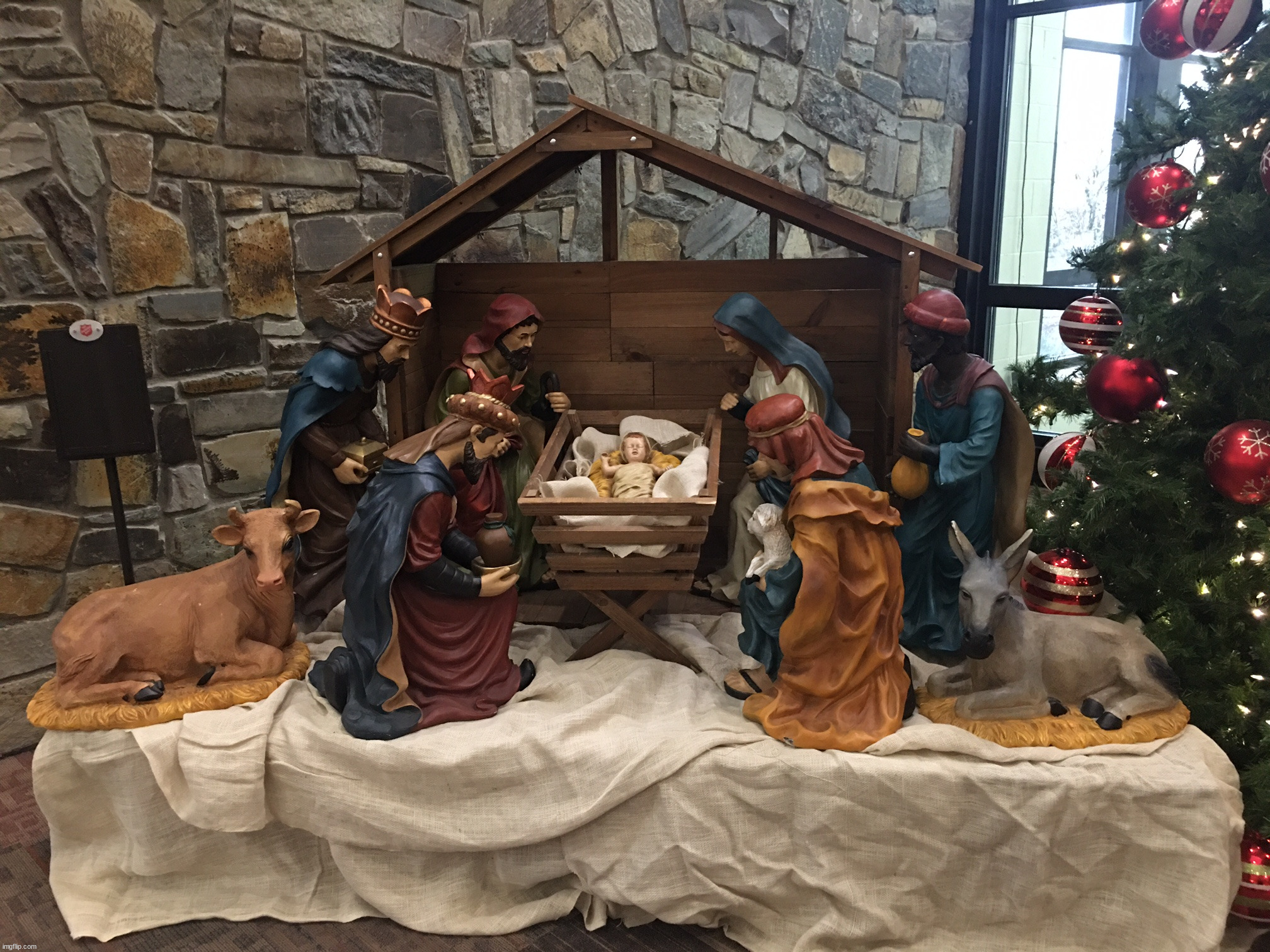 Manger scene at the gym | image tagged in photography | made w/ Imgflip meme maker