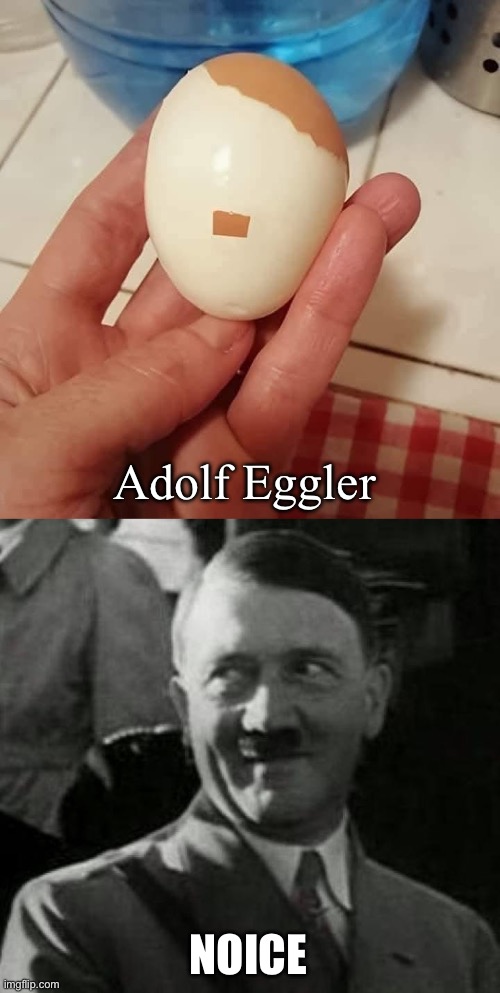 Adolf | Adolf Eggler; NOICE | image tagged in hitler laugh,egg,hitler,adolf hitler laughing | made w/ Imgflip meme maker