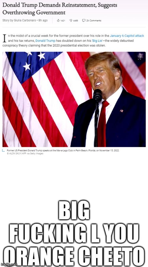 BIG FUCKING L YOU ORANGE CHEETO | image tagged in donald trump demands reinstatement suggests overthrowing govern,blank white template | made w/ Imgflip meme maker