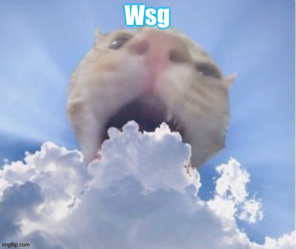 cat eating cloud | Wsg | image tagged in cat eating cloud | made w/ Imgflip meme maker