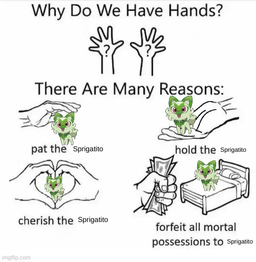 Why do we have hands? (all blank) | Sprigatito; Sprigatito; Sprigatito; Sprigatito | image tagged in why do we have hands all blank | made w/ Imgflip meme maker