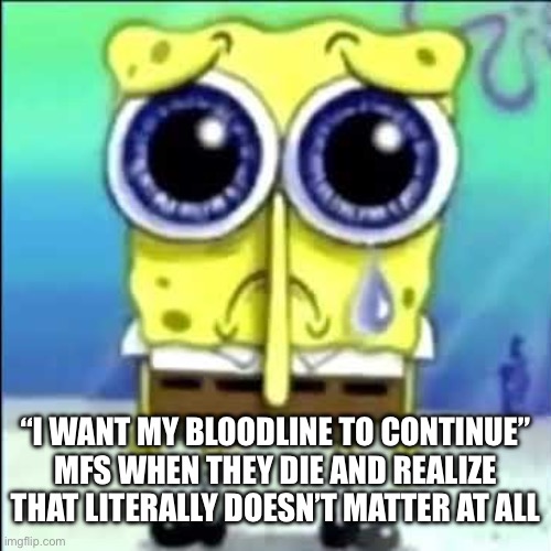 Sad Spongebob | “I WANT MY BLOODLINE TO CONTINUE”
MFS WHEN THEY DIE AND REALIZE THAT LITERALLY DOESN’T MATTER AT ALL | image tagged in sad spongebob | made w/ Imgflip meme maker