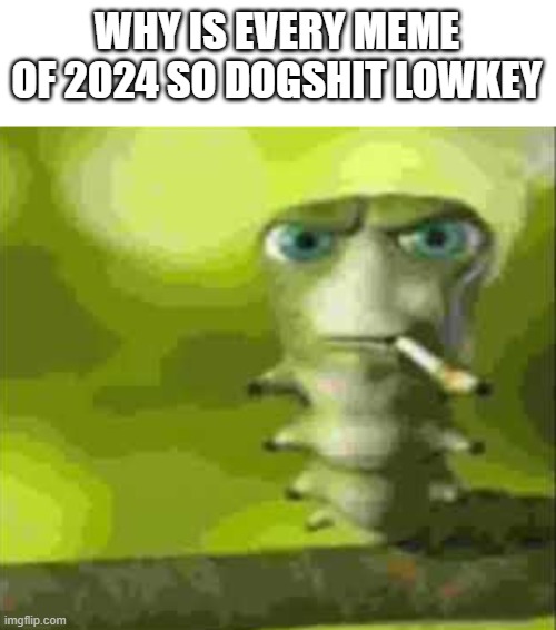 this year has the worst memes ever | WHY IS EVERY MEME OF 2024 SO DOGSHIT LOWKEY | image tagged in smoking caterpillar | made w/ Imgflip meme maker