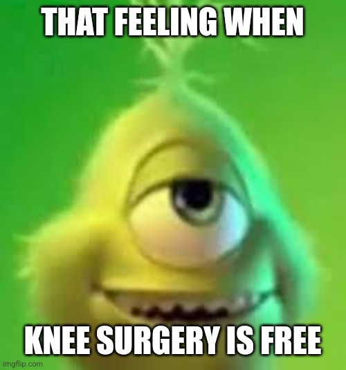 grinch wazowski | THAT FEELING WHEN; KNEE SURGERY IS FREE | image tagged in grinch wazowski | made w/ Imgflip meme maker