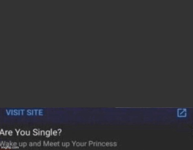 yet another new template | image tagged in are you single add literally any image you want to on here | made w/ Imgflip meme maker