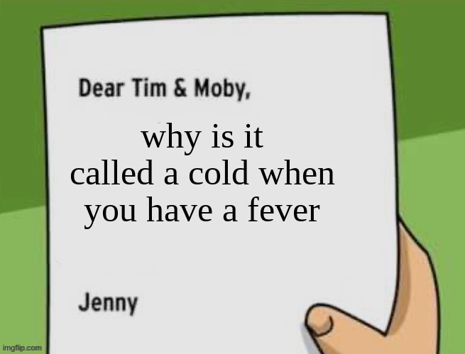 Dear Tim & Moby | why is it called a cold when you have a fever | image tagged in dear tim moby | made w/ Imgflip meme maker