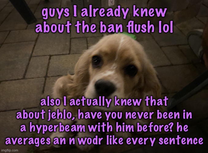 dumb little idiot gnocchi | guys I already knew about the ban flush lol; also I actually knew that about jehlo, have you never been in a hyperbeam with him before? he averages an n wodr like every sentence | image tagged in dumb little idiot gnocchi,cinnabox announcement | made w/ Imgflip meme maker