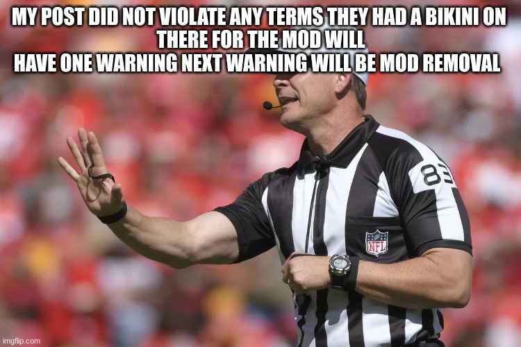 nfl referee | MY POST DID NOT VIOLATE ANY TERMS THEY HAD A BIKINI ON 
THERE FOR THE MOD WILL HAVE ONE WARNING NEXT WARNING WILL BE MOD REMOVAL | image tagged in nfl referee | made w/ Imgflip meme maker