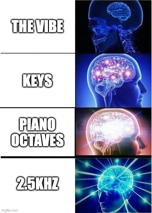 Sound engineer meme #1 | THE VIBE; KEYS; PIANO OCTAVES; 2.5KHZ | image tagged in memes,expanding brain | made w/ Imgflip meme maker