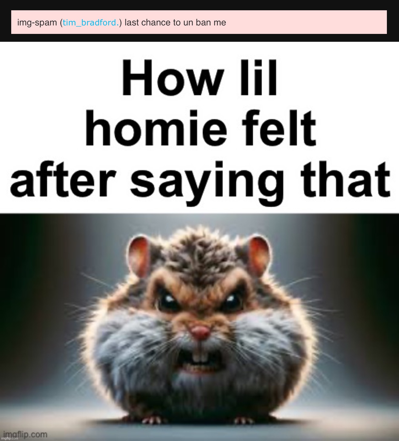 image tagged in how lil homie felt after saying that | made w/ Imgflip meme maker