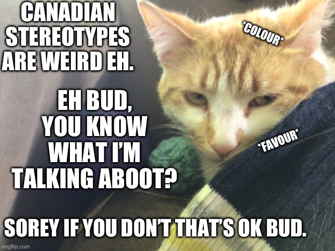 >:] | CANADIAN STEREOTYPES ARE WEIRD EH. EH BUD, YOU KNOW WHAT I’M TALKING ABOOT? *COLOUR*; *FAVOUR*; SOREY IF YOU DON’T THAT’S OK BUD. | image tagged in canada,canadian,canadians | made w/ Imgflip meme maker