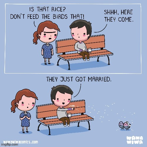 Marriage | image tagged in marriage,married,birds,bird,comics,comics/cartoons | made w/ Imgflip meme maker