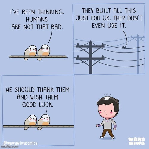 Good luck | image tagged in birds,bird,good luck,humans,comics,comics/cartoons | made w/ Imgflip meme maker