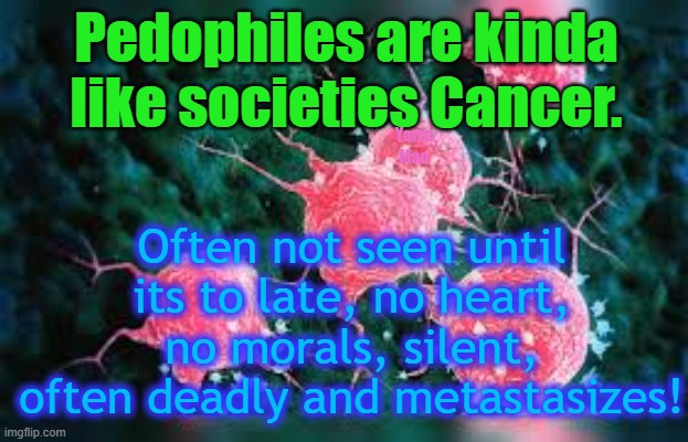 Pedophile FILTH are kinda like societies cancer! | Pedophiles are kinda like societies Cancer. Often not seen until its to late, no heart, no morals, silent, often deadly and metastasizes! Yarra Man | image tagged in priests,magistrates n judges,hollywood,politicians,predators,the illuminati | made w/ Imgflip meme maker