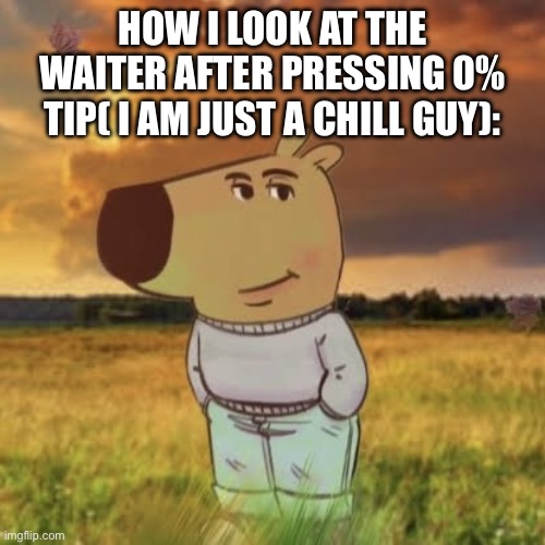Chill guy | HOW I LOOK AT THE WAITER AFTER PRESSING 0% TIP( I AM JUST A CHILL GUY): | image tagged in chill guy | made w/ Imgflip meme maker