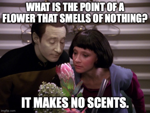 Data and his daughter smelling a flower | WHAT IS THE POINT OF A FLOWER THAT SMELLS OF NOTHING? IT MAKES NO SCENTS. | image tagged in star trek data | made w/ Imgflip meme maker