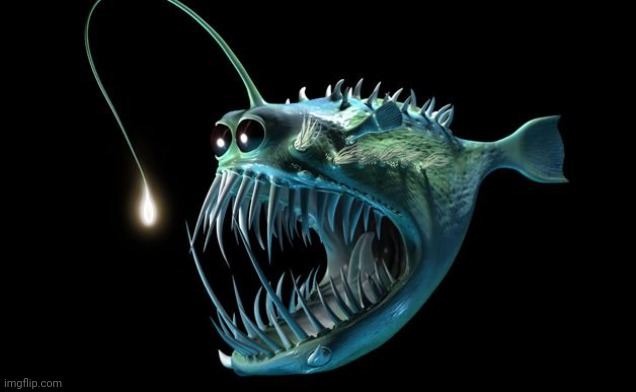 Angler fish | image tagged in angler fish | made w/ Imgflip meme maker