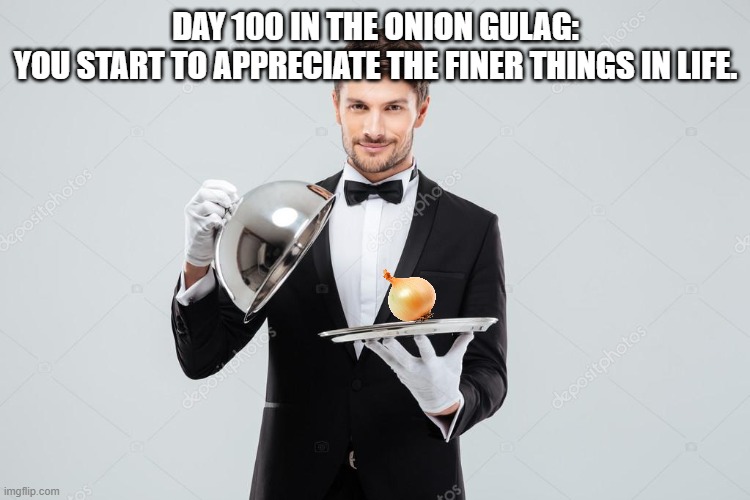 Day 100 in Onion Gulag | DAY 100 IN THE ONION GULAG:
YOU START TO APPRECIATE THE FINER THINGS IN LIFE. | image tagged in onion,gulag,community | made w/ Imgflip meme maker